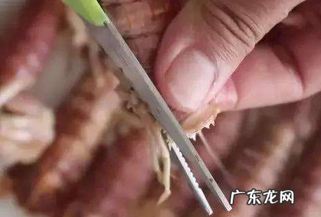 皮皮虾需不需要去黑线,皮皮虾用去虾线