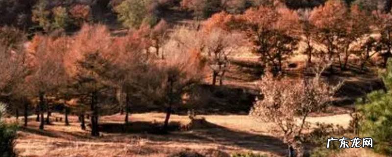 法库县景点 法库县旅游的地方