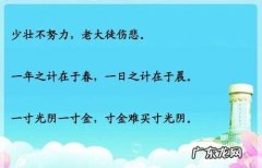 关于珍惜时间好好读书的格言警句,珍惜时间读书勤奋的名言警句