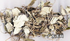 金钱草的作用与功效车,金钱草有什么作用与功效