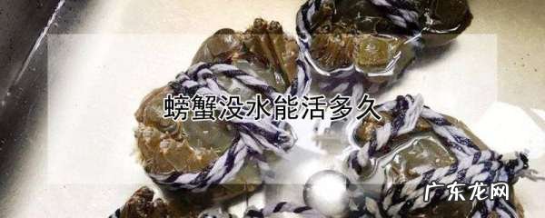 螃蟹离开水最多能活几天,螃蟹没水能活多久会死
