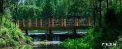 讷河市景点 讷河旅游攻略