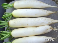白萝卜去皮还有营养,萝卜要削皮