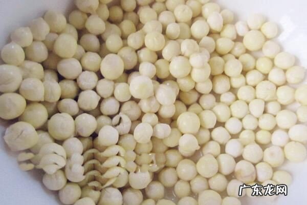 薏米红豆与芡实的比例,芡实可以跟薏米红豆一起煮粥