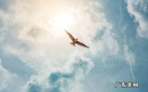 积累勇气的名人名言有哪些,关于勇敢的名人名言有哪些