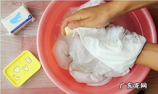 粘苍蝇的胶怎么洗掉,衣服粘上苍蝇贴怎么去除