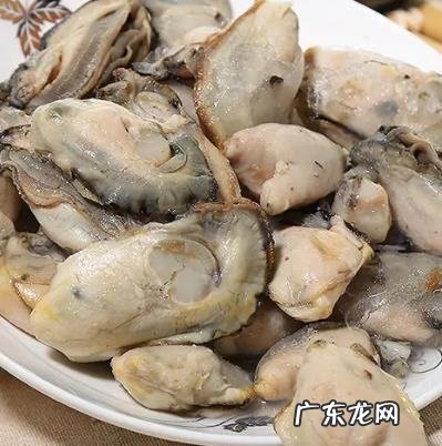 生蚝可以泡酒,一斤白酒需要泡多加克牡蛎