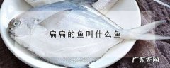 扁扁的大片鱼是什么鱼,扁扁的鱼叫什么鱼尾巴长长的
