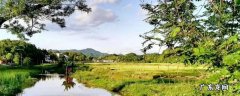 君山区景点 君山好玩的景点