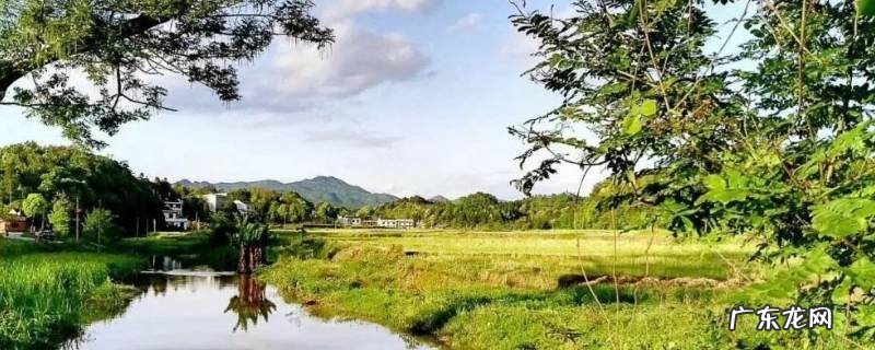 君山区景点 君山好玩的景点