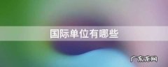 国际单位有哪些,国际单位制的基本单位有哪些