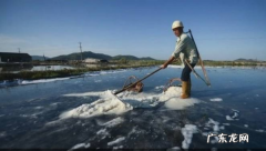 为什么海里有盐,海水里为什么有大量盐分 从哪来的这些盐分