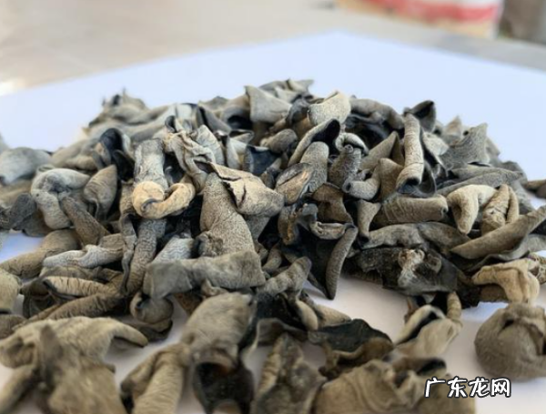 泡木耳能用开水泡,木耳用冷水泡还是热水泡