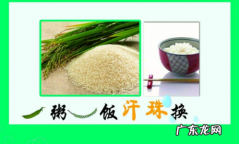 关于节约粮食的名人名言,关节约粮食的名人名言