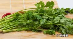 香菜的营养价值高吗,香菜的营养价值与功效