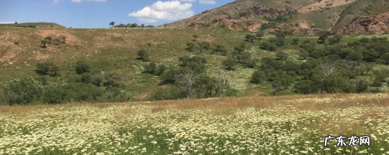 额敏县景点 额敏县旅游的地方