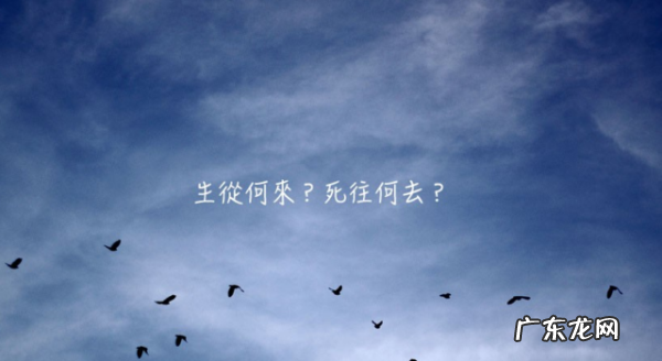 生和死的经典名言,有关生死的名人名言大全