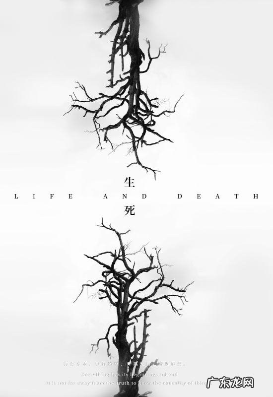 生和死的经典名言,有关生死的名人名言大全