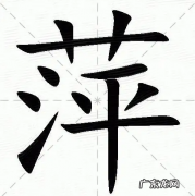 萍的寓意是什么意思,萍的意思和含义是什么意思