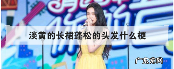 什么裙子什么头发是什么梗 啥意思,淡黄的长裙蓬松的头发什么梗