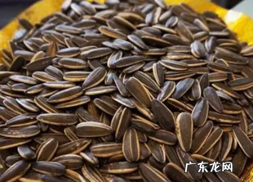 00克的瓜子热量是多少,00克的瓜子热量是多少大卡