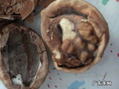 黄曲霉素怎么去除,如何杀灭黄曲霉素