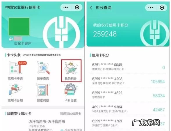 农行信用卡申请进度怎么查询,农行信用卡进度怎么查询