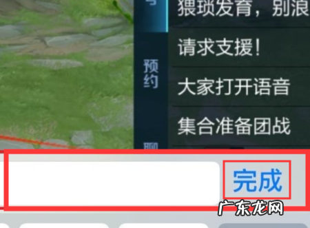 王者荣耀发消息怎么让对面看见,王者荣耀打字可以让所有人看见