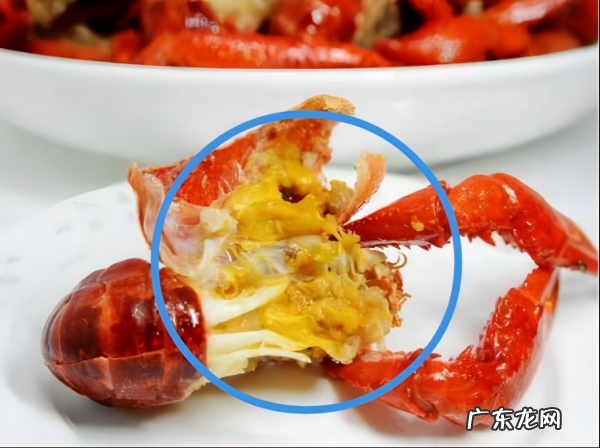 小龙虾头上的黄是什么,小龙虾头上黄色的部分是什么