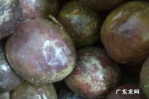 百香果流水了还能吃,百香果里面有水是坏了