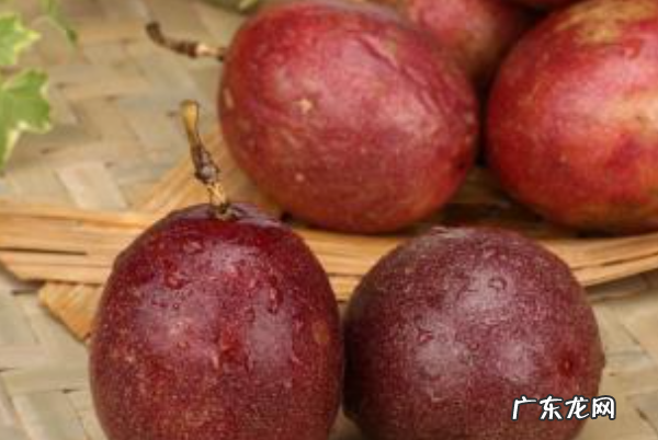 百香果流水了还能吃,百香果里面有水是坏了