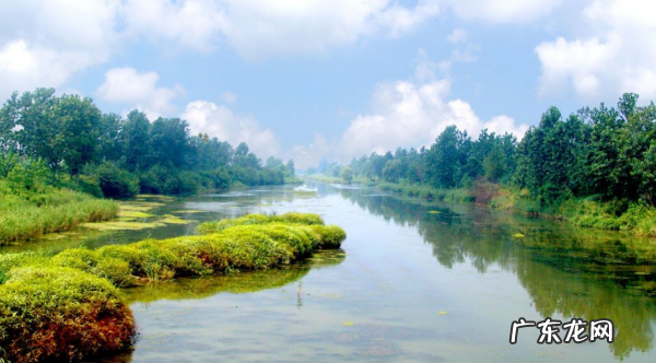 保护湿地的意义是什么,湿地保护的目的和意义音频