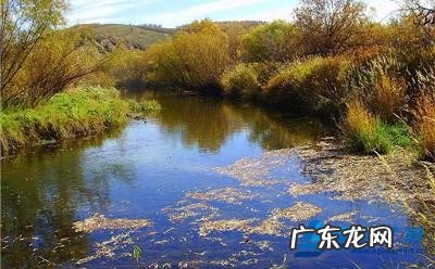 保护湿地的意义是什么,湿地保护的目的和意义音频