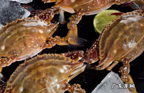 梭子蟹怎么选有蟹黄的,梭子蟹蟹黄在哪个位置图解