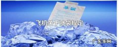 冰袋可以托运,飞机冰袋能过安检