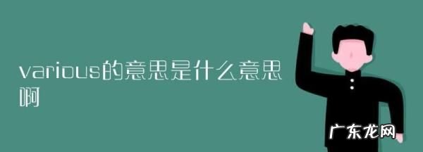 various的用法,various的用法总结