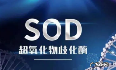 SOD什么玩意,sod是什么