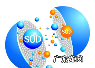 SOD什么玩意,sod是什么