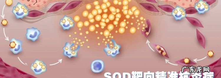 SOD什么玩意,sod是什么