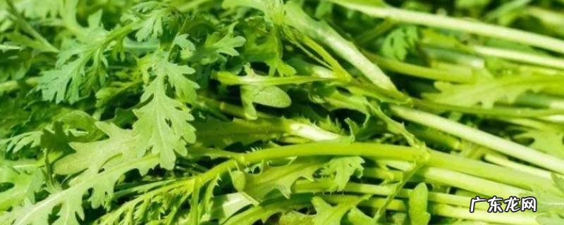 茼蒿怎么做好吃又简单 茼蒿怎么做好吃呢