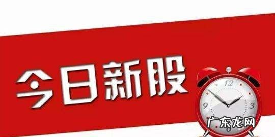 新股申购条件,申购新股条件