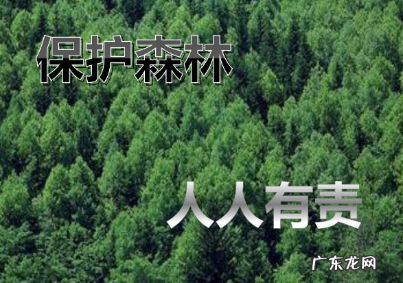保护森林的措施有哪些,保护森林的办法有哪些