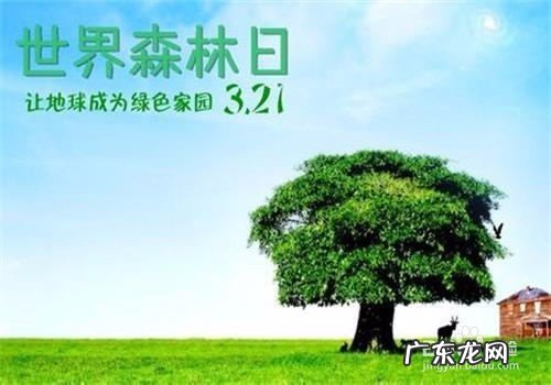 保护森林的措施有哪些,保护森林的办法有哪些