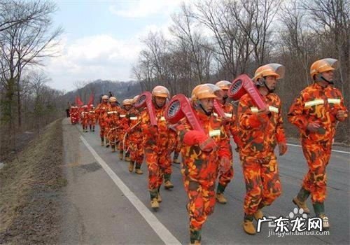 保护森林的措施有哪些,保护森林的办法有哪些