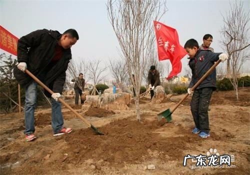 保护森林的措施有哪些,保护森林的办法有哪些
