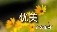 关于情有独钟的句子,情有独钟作文结尾优美句子