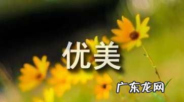 关于情有独钟的句子,情有独钟作文结尾优美句子