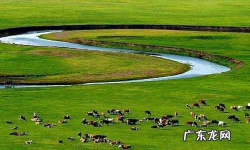 世界上四大草原是哪4个,世界四大草原分别是什么