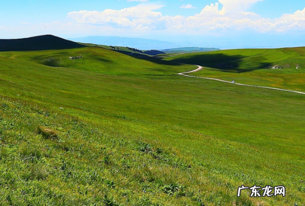 世界上四大草原是哪4个,世界四大草原分别是什么