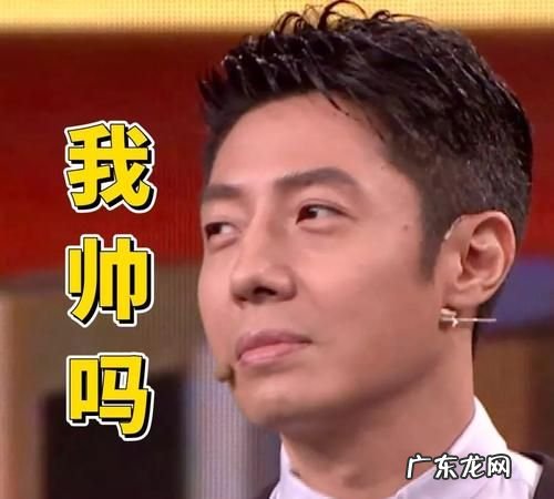 hin什么梗 啥意思,hin烦是什么意思
